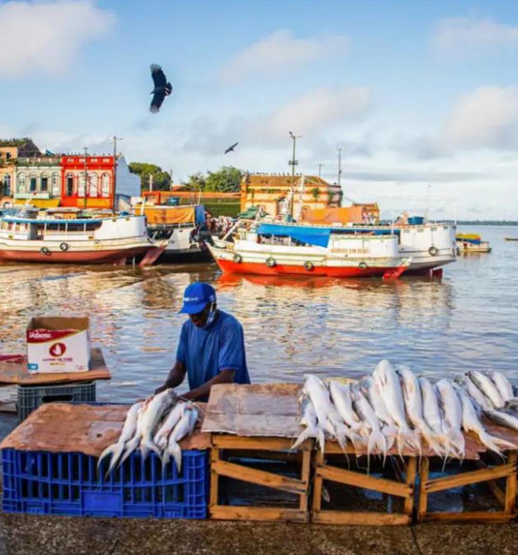 Peixes contaminados trazem riscos à saúde de ribeirinhos na Amazônia, estudo da UFOPA traz um alerta