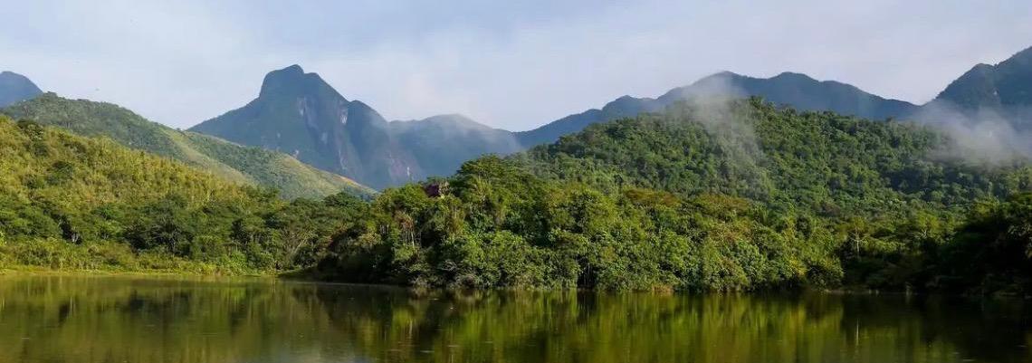 Qualidade dos rios da Mata Atlântica continua precária, aponta Fundação SOS Mata Atlântica