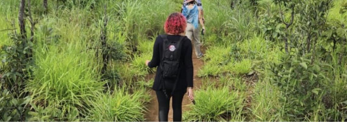 Inscrições para seleção de representantes da sociedade civil em comitê de trilhas ecológicas do DF