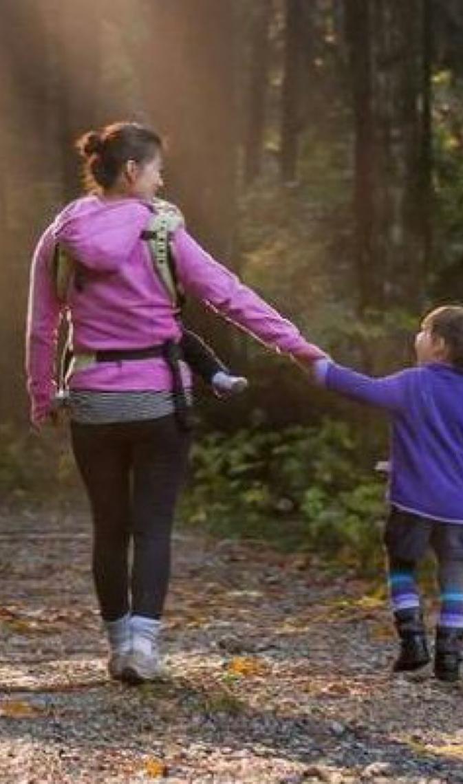 Organização das Nações Unidas marca Dia Internacional das Florestas focando em economia