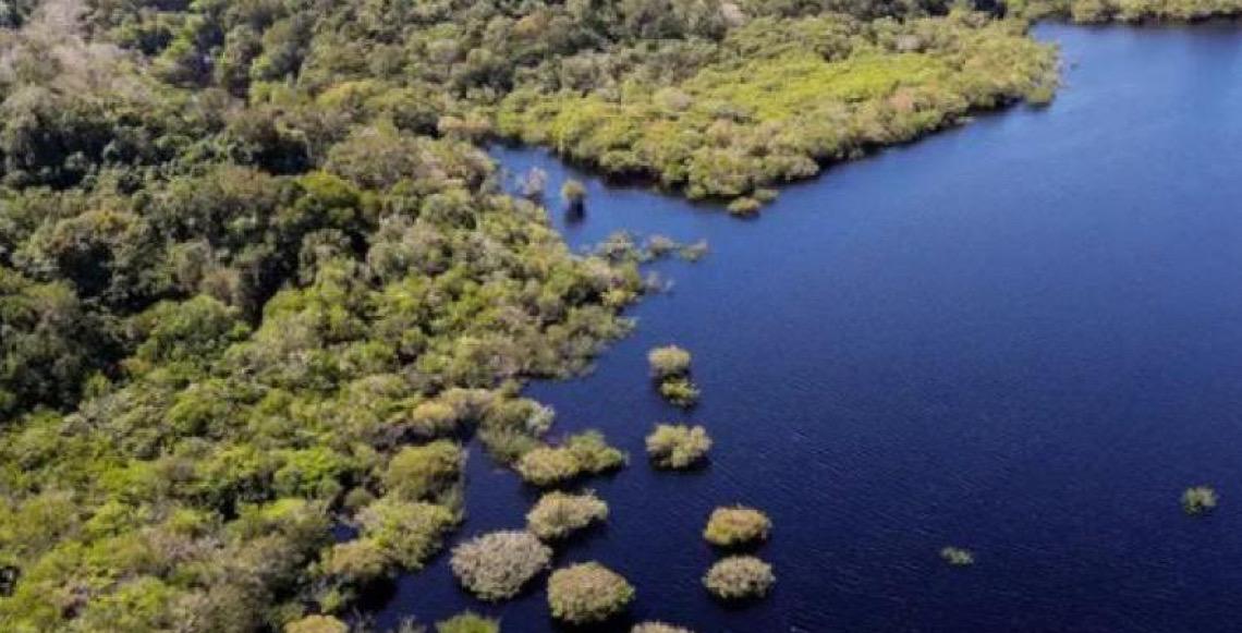 Estudo aponta redução de 30% no desmatamento em áreas da Amazônia atendidas pelo Bolsa Verde