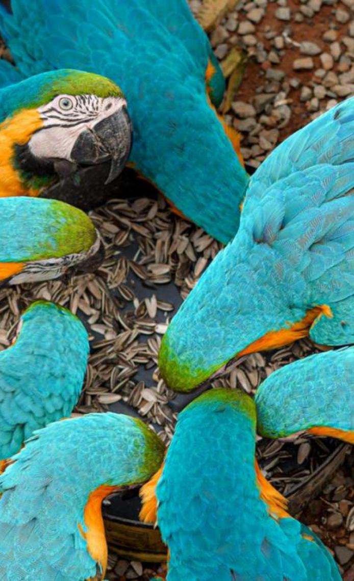 Brasília Além do Concreto: Chapada Imperial revela um lado surpreendente da capital