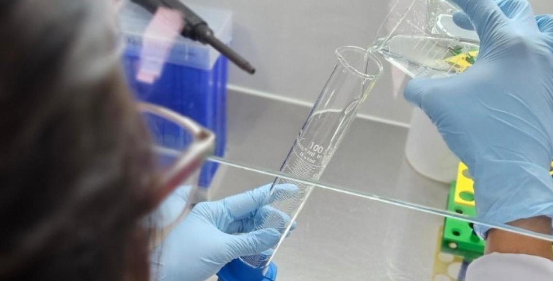 Startup desenvolve ativos para cosméticos a partir do veneno de vespas do Cerrado