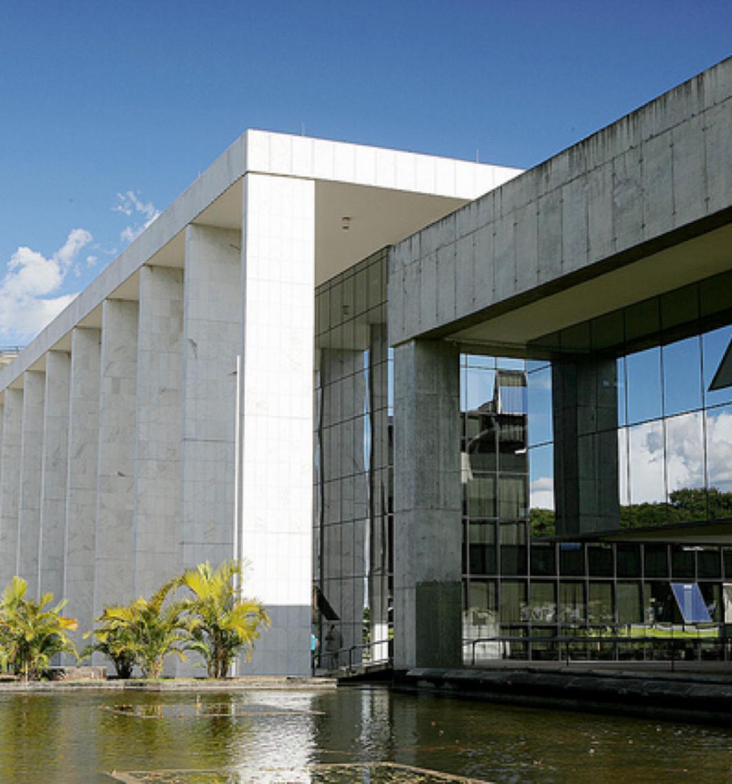 Tribunal de Justiça do DF impede sacrifício de cadela assintomática com leishmaniose