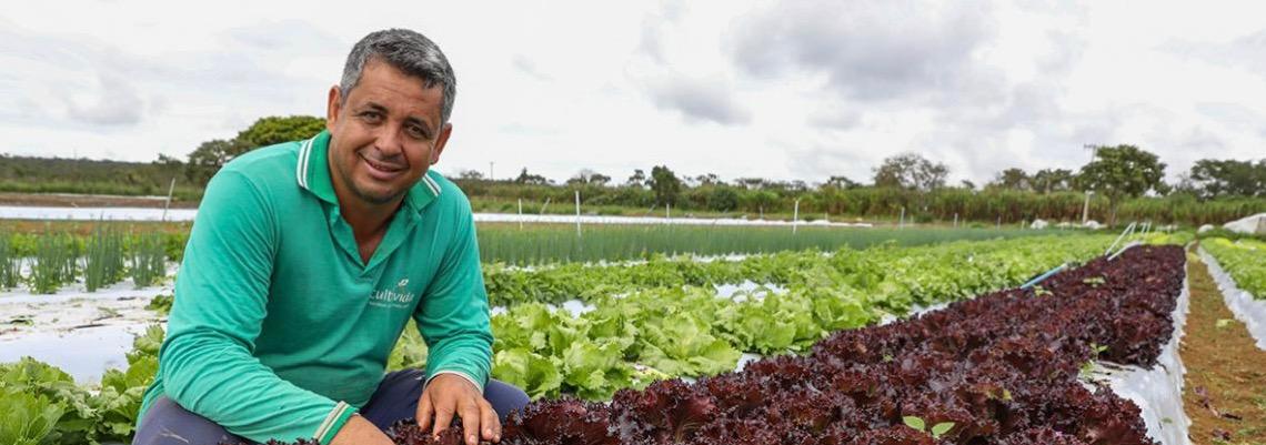 DF registra aumento de 24% no número de produtores rurais atendidos com assistência técnica desde 2019