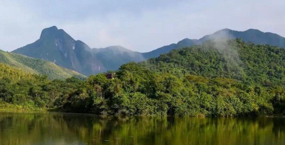 Qualidade dos rios da Mata Atlântica continua precária, aponta Fundação SOS Mata Atlântica