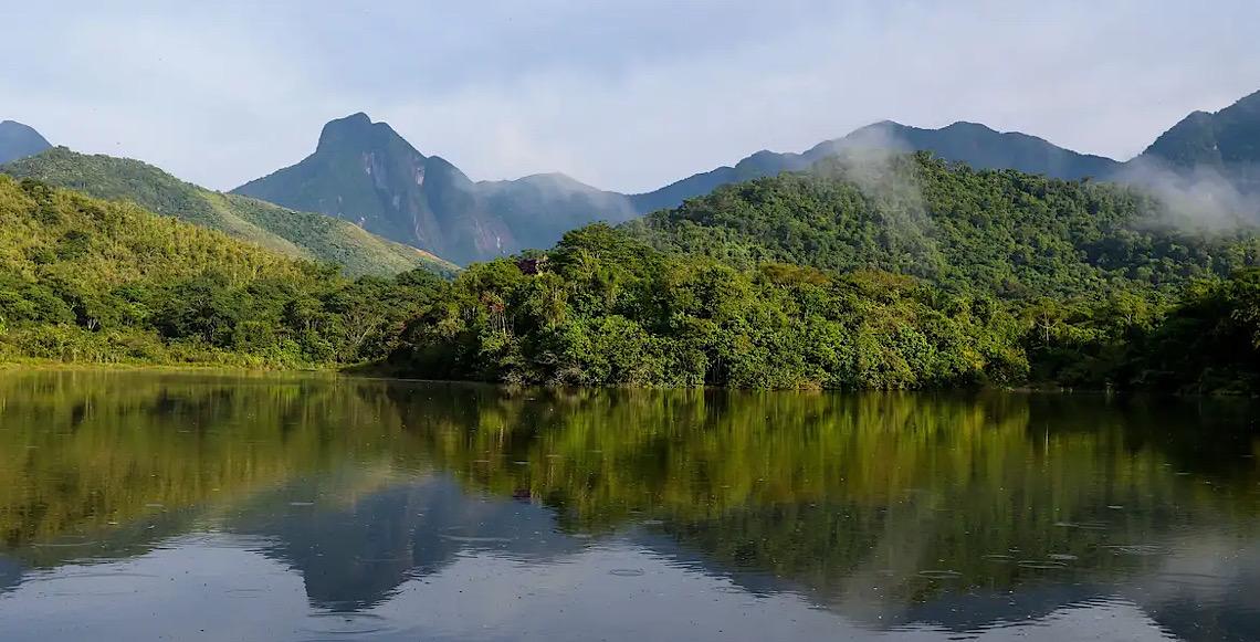 Quantidade de rios da mata atlântica com água boa cai, mostra novo levantamento da Fundação SOS Mata Atlântica