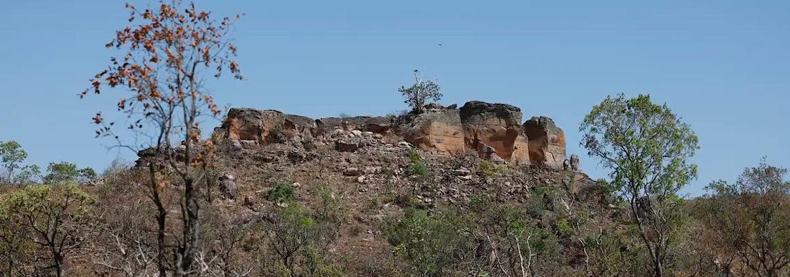 Pesquisa com IA identifica terras agrícolas abandonadas no Cerrado 
