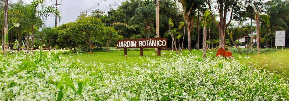Revista do Jardim Botânico publica descobertas inéditas sobre a biodiversidade brasileira