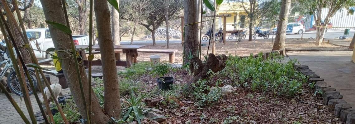 Parque Ecológico Veredinha recebe honraria do Ministério Público por parceria em causa social