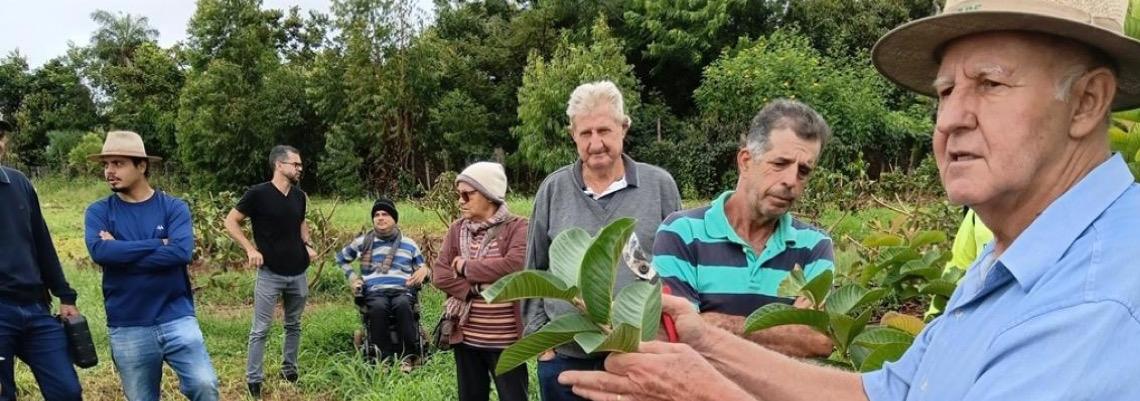 Oficina de poda em frutíferas destaca técnica que garante maior produtividade