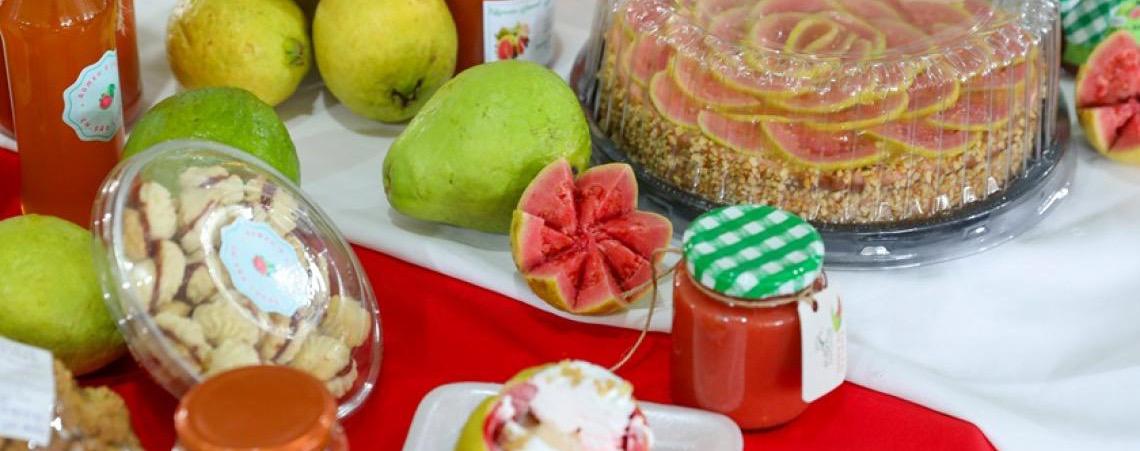 Feira da Goiaba no DF começa no próximo sábado com programação gastronômica e cultural