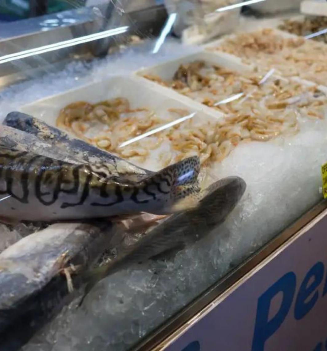 Vigilância Sanitária da Secretaria de Saúde do Rio orienta sobre compra de pescado na Semana Santa