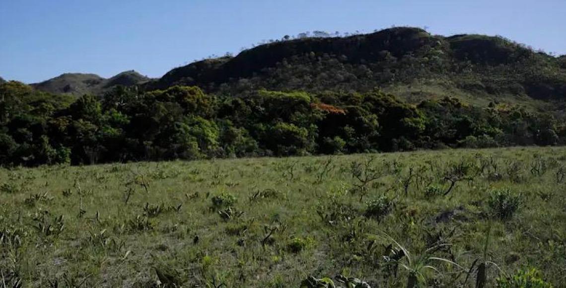 Municípios que mais desmatam têm renda 27% abaixo da média dos municípios do Brasil