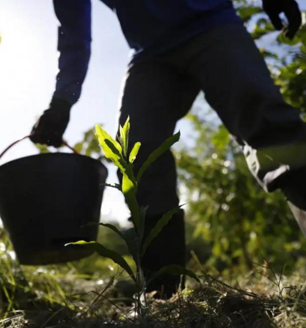 Apresentado pelo Governo do Brasil plano para desenvolver bioeconomia no país até 2035