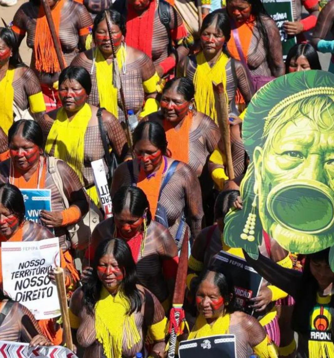 Organizações acusam Congresso Nacional brasileiro de desrespeitar direitos dos indígenas