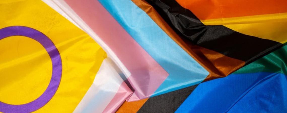 Confira como se candidatar aos editais de políticas públicas voltadas à população LGBTQIA+