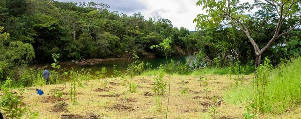 Governo do DF cria Parque Distrital da Serrinha e reforça proteção ambiental no Lago Norte