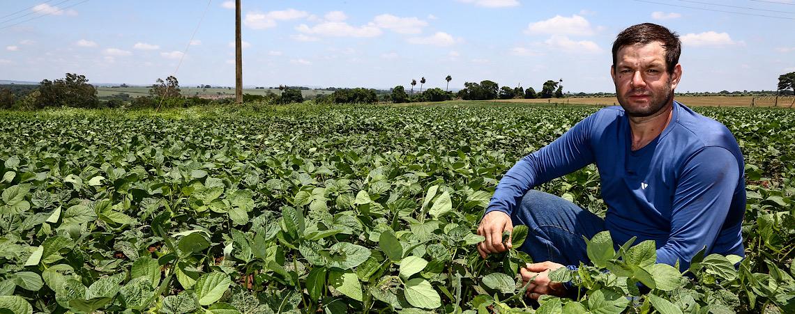 Área de lavouras protegidas por seguro rural no Brasil despenca 76% em cinco anos