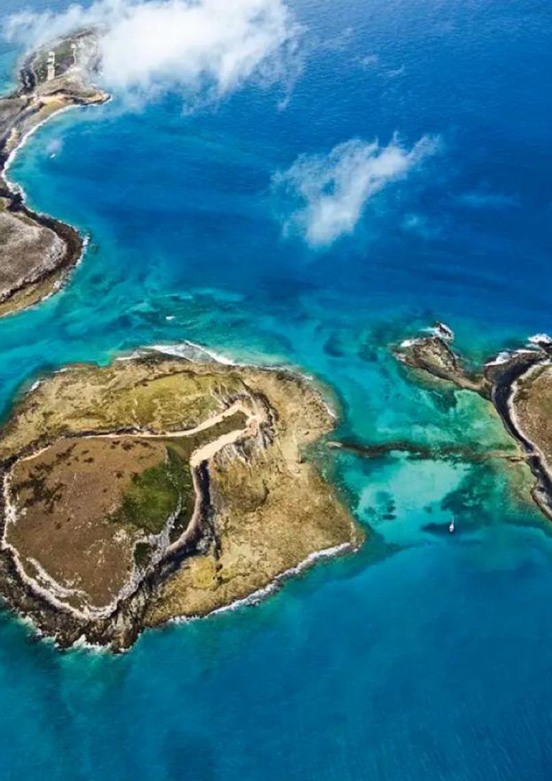 Áreas protegidas na região de Abrolhos geram 29 mil empregos e R$ 536 milhões em renda, diz estudo