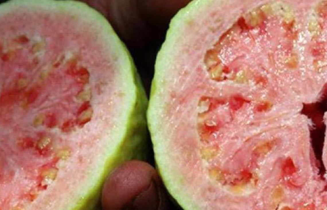 Feira da Goiaba de Brasília começa com expectativa de movimentar economia local