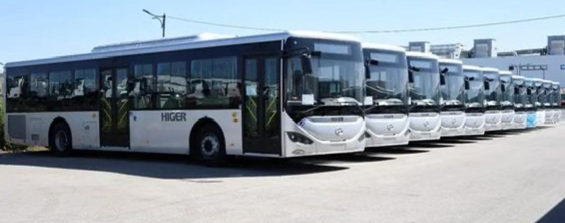 Argélia vai importar 10 mil ônibus destinados à renovação da frota nacional de transporte