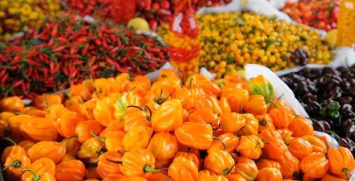 Feira Brasil na Mesa leva a diversidade dos alimentos nacionais ao consumidor brasileiro