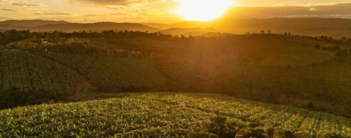 Parceria do Banco Mundial com a Bahia fortalece geração de empregos