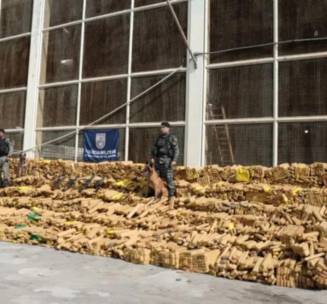 Hulk, cão que descobriu bunker com 48 toneladas de maconha, já participou de 200 ocorrências