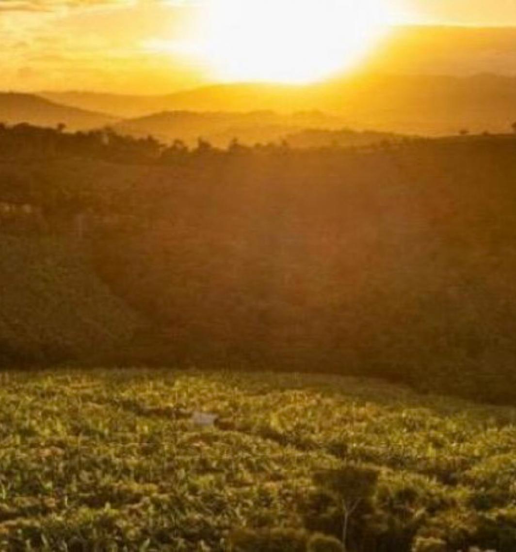 Parceria do Banco Mundial com o estado Bahia fortalece geração de empregos rurais e urbanos