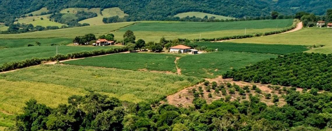Distrito Federal amplia fiscalização rural com tecnologia de satélite e adere à RedeMAIS