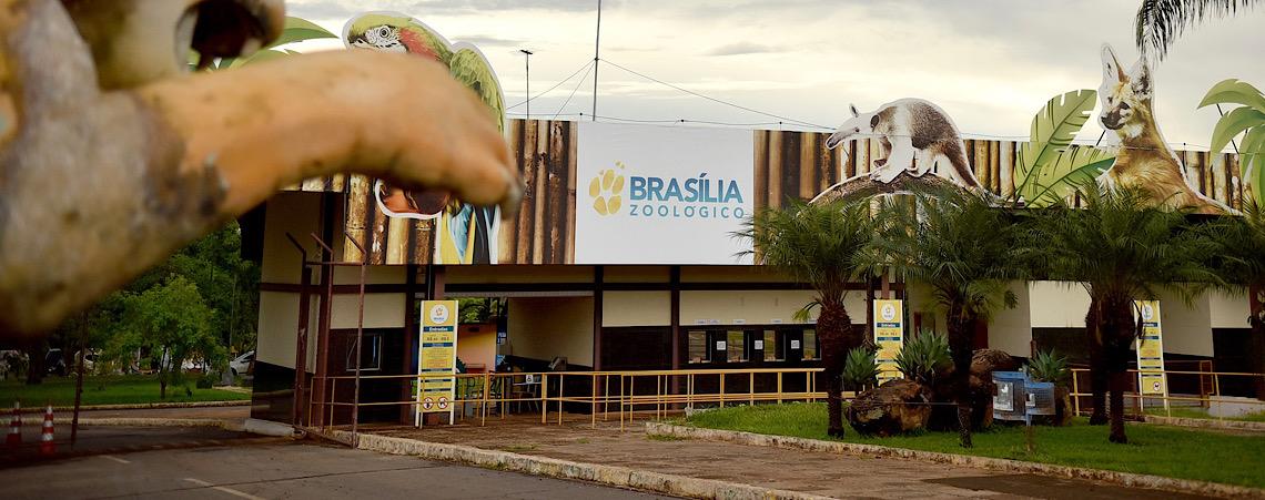 Zoológico de Brasília celebra aniversário da capital com programação especial gratuita