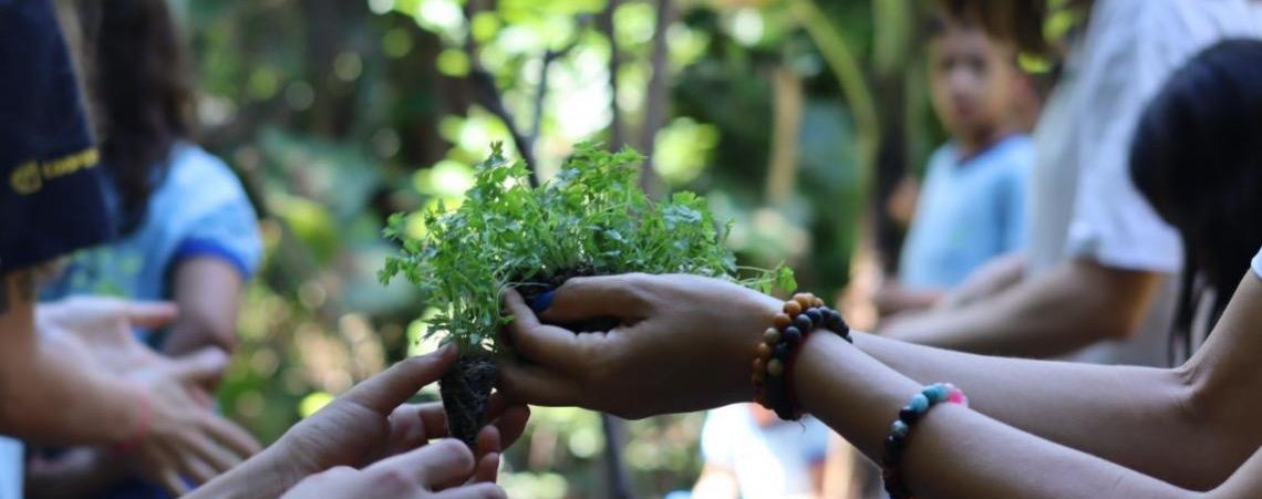 Projeto incentivado por ONG belga integra programas do DF e promove educação ambiental com arte