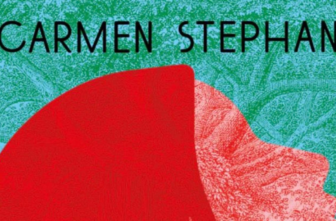 Alemã que contraiu malária no Brasil usa mosquito para narrar a história da doença