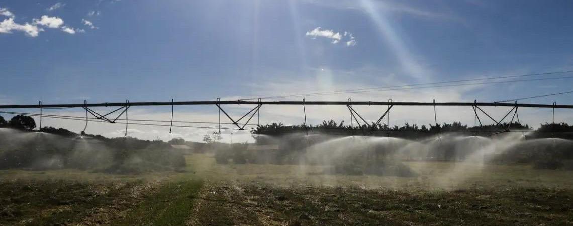 Ameaça sobre espécies dependentes do solo é desconhecida, diz estudo