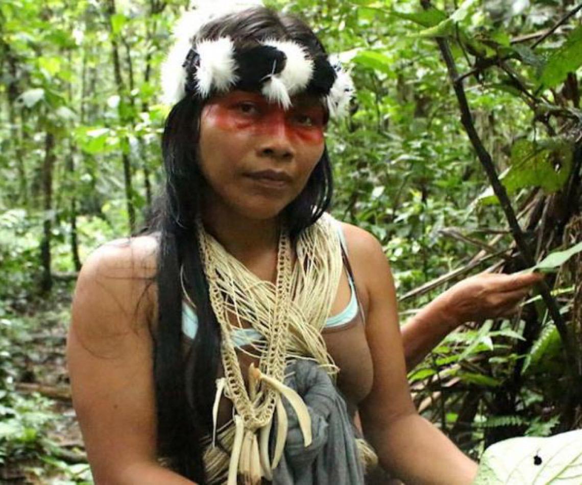 Fórum Indígena da ONU debate garantia da saúde em meio a conflitos e poluição