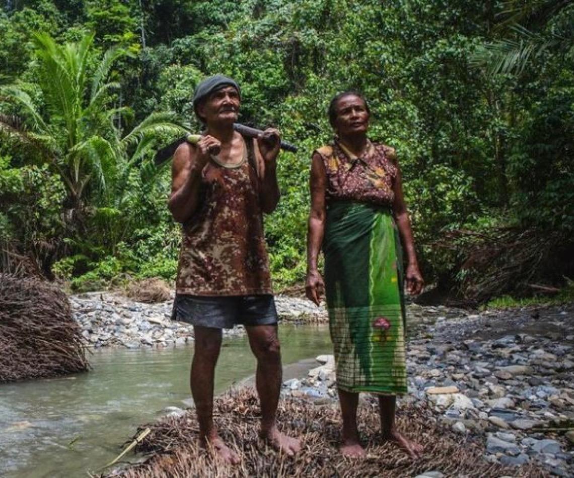 Pesquisa da FAO revela que florestas empregam 42 milhões de pessoas no mundo