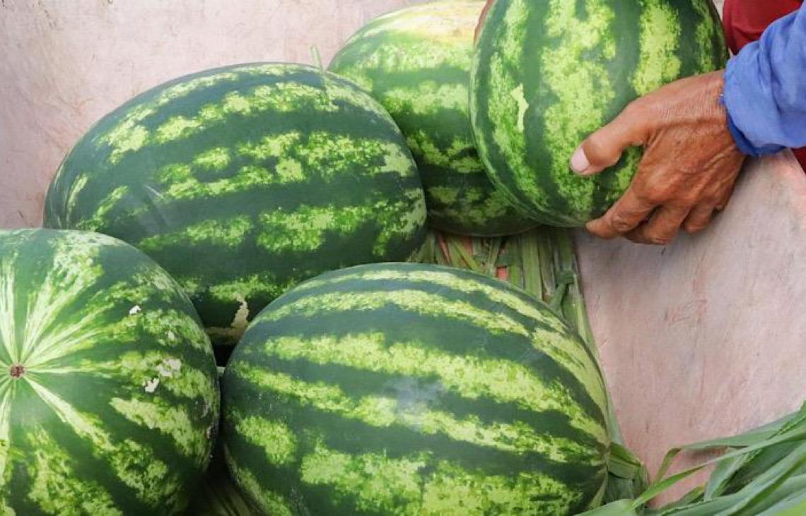 De acordo com comunicado, a Arábia Saudita abre mercado para frutas do Brasil