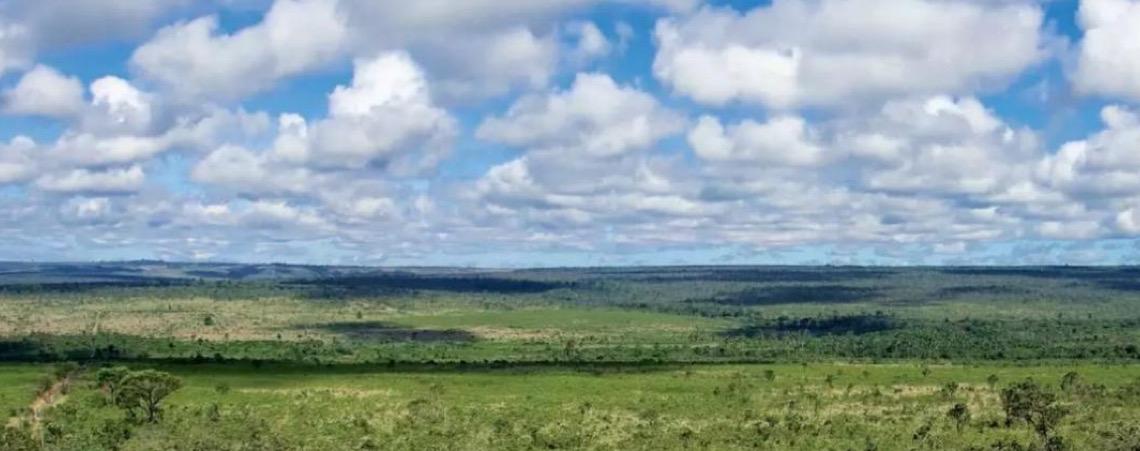 Cooperação entre ICMBio e UnB reforça conservação da Área de Relevante Interesse Ecológico Capetinga Taquara no DF