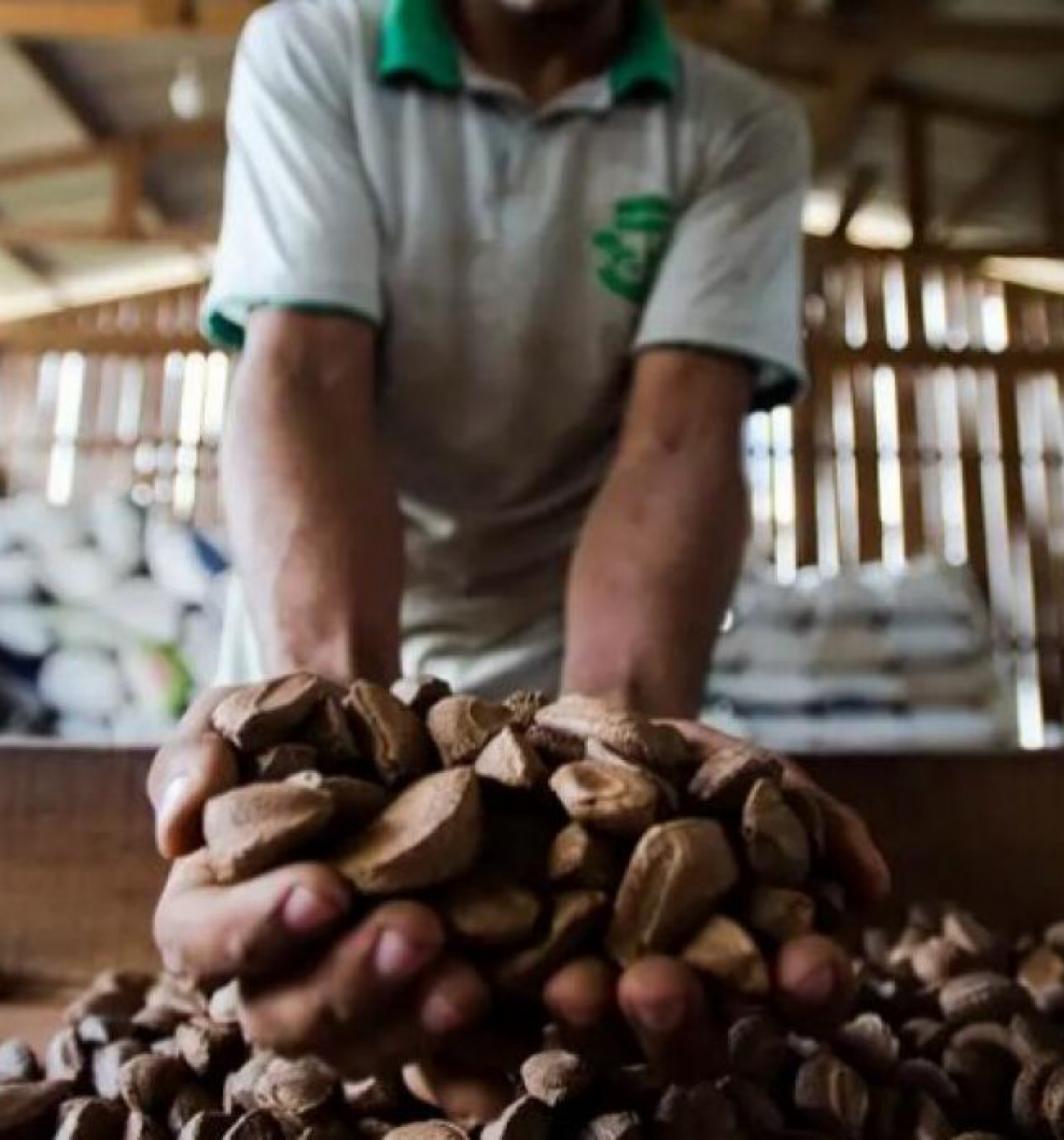 15% das patentes em biotecnologia do Brasil partem das universidades federais do Nordeste