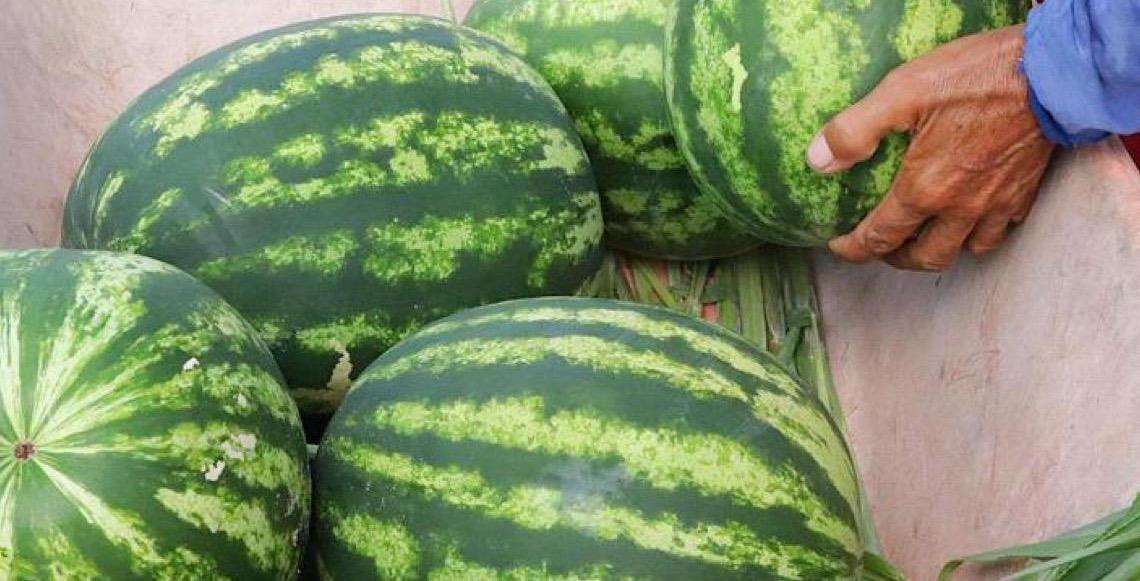 De acordo com comunicado, a Arábia Saudita abre mercado para frutas do Brasil