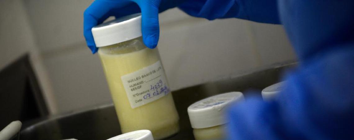 Mais de 4 mil recém-nascidos foram beneficiados com leite humano no DF este ano; como doar