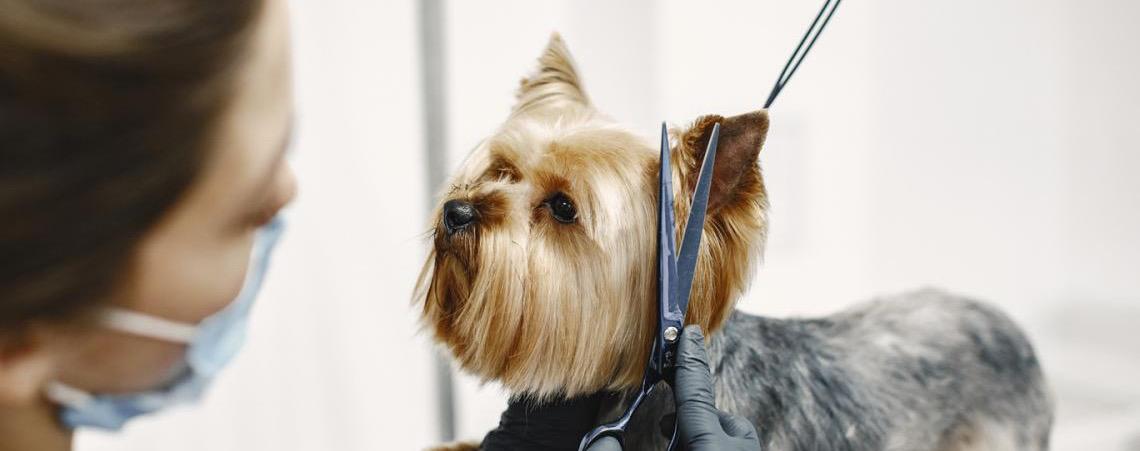 Agências do trabalhador abrem a semana com 713 vagas disponíveis nesta segunda, 27