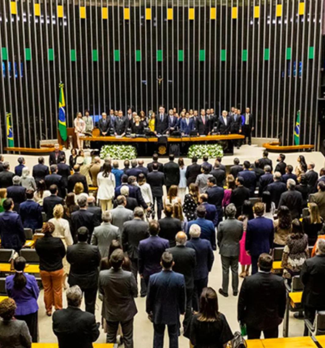 Congresso proíbe produção e venda de foie gras por meio de alimentação forçada