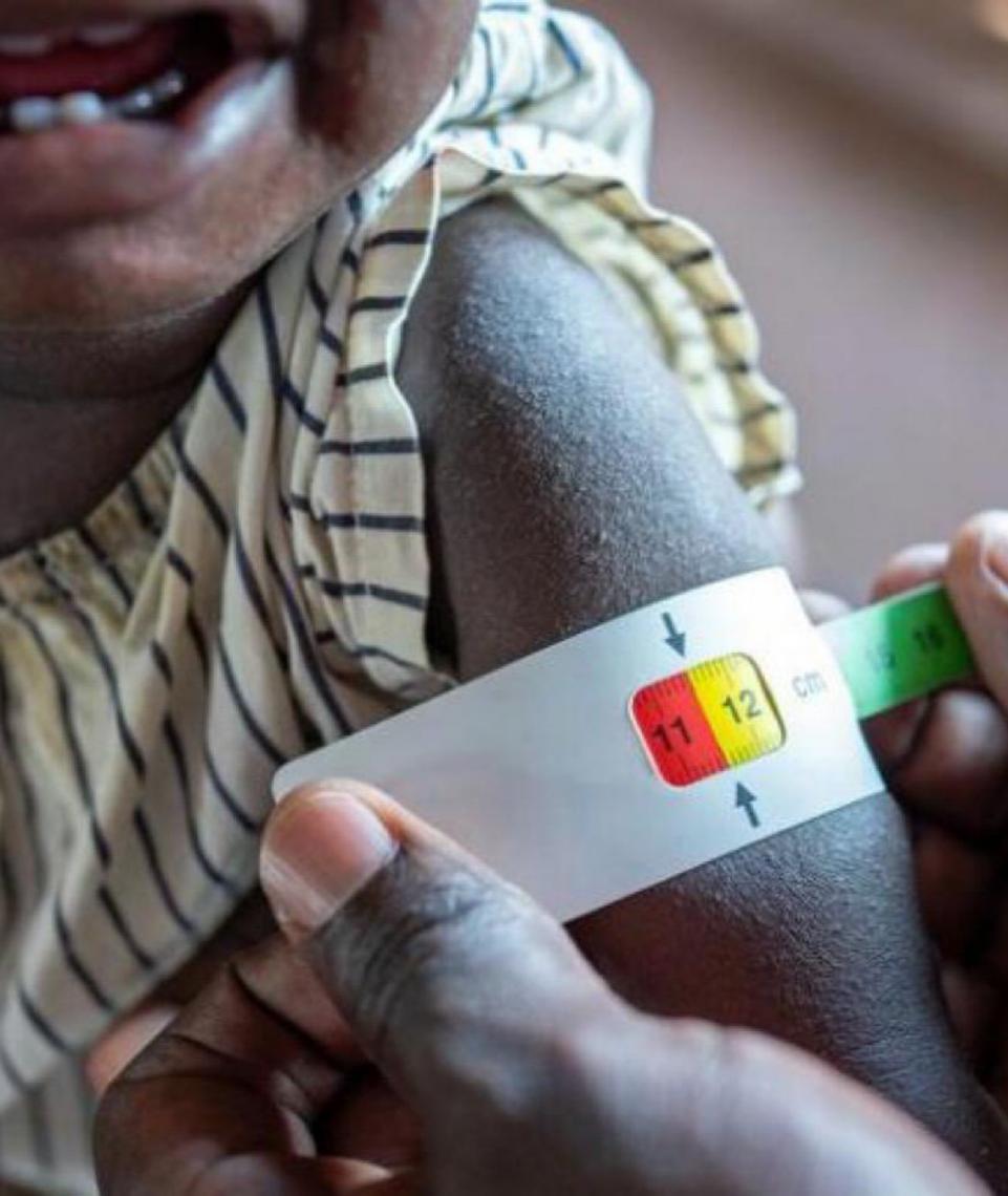 Relatório alerta; insegurança alimentar cresce no mundo e pode se agravar