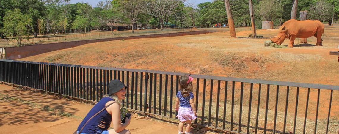 Veja o que abre e o que fecha no Dia do Trabalhador. Veja, abaixo, como estará a cidade