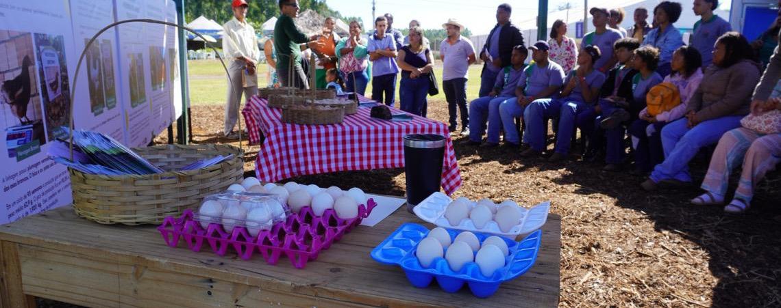 AgroBrasília 2026 terá nove circuitos tecnológicos com soluções para aumentar a produção sustentável