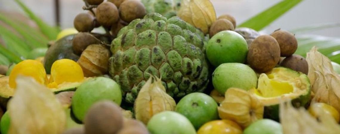 Governo do Brasil lança edital de R$ 50 milhões para fortalecer agricultores familiares