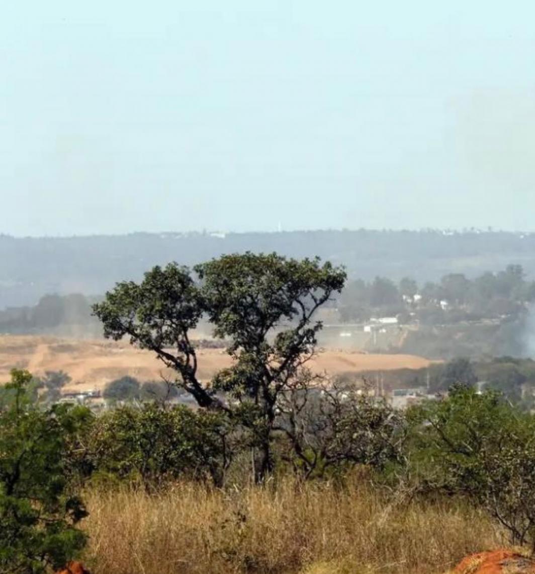 Ministério do Meio Ambiente lança edital para arborizar periferia urbana de pequenas cidades