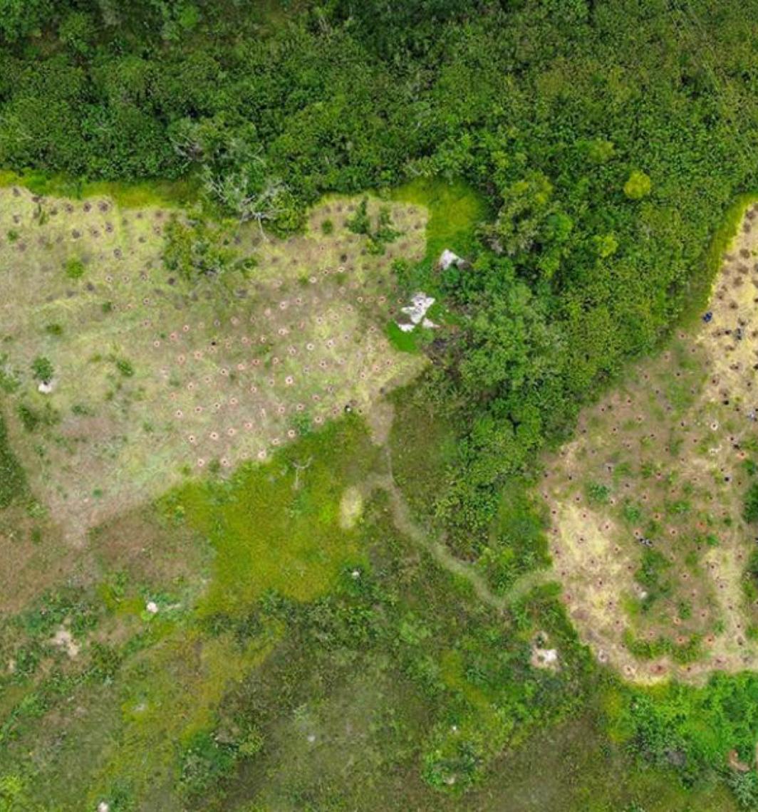 Sancionada lei que retira Serrinha e área da Saúde do plano de capitalização do BRB